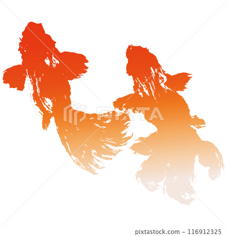 從上方看的金魚游泳的向量圖 從上方看的金魚游泳的向量圖 116912325