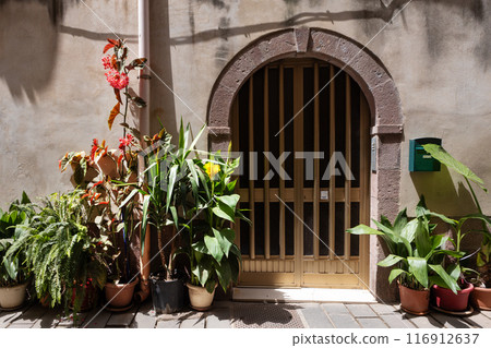 Plant-Adorned Entrance with Arched Doorway in Historic City 116912637