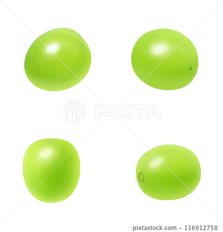 Shine Muscat illustration realistic Shine Muscat illustration realistic 116912758