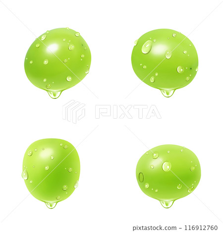 閃耀馬斯喀特插畫現實 閃耀馬斯喀特插畫現實 116912760