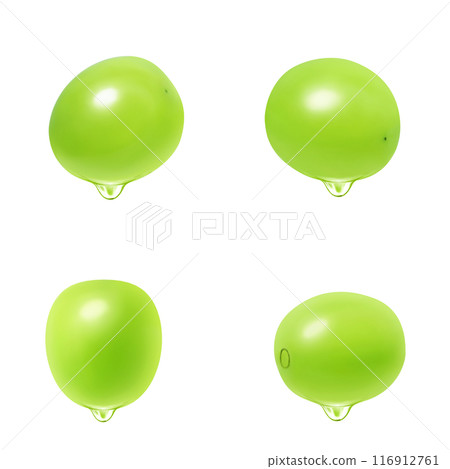 閃耀馬斯喀特插畫現實 閃耀馬斯喀特插畫現實 116912761