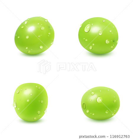 閃耀馬斯喀特插畫現實 116912763