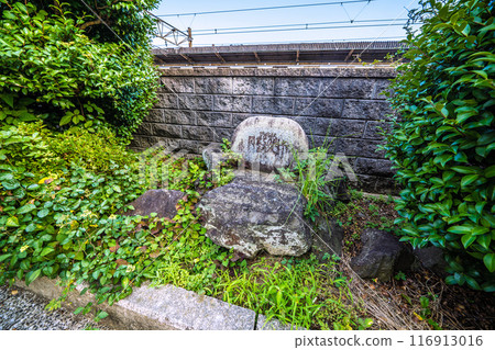 Odawara cityscape in Japan in July. 50th anniversary of the opening of Kamoi Station in front of the north exit of Kamonomiya Station on the JR Tokaido Main Line on the 22nd. 116913016