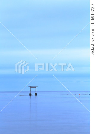 Torii of the sea Torii of the sea 116913229