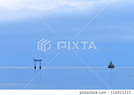 Torii of the sea Torii of the sea 116913231