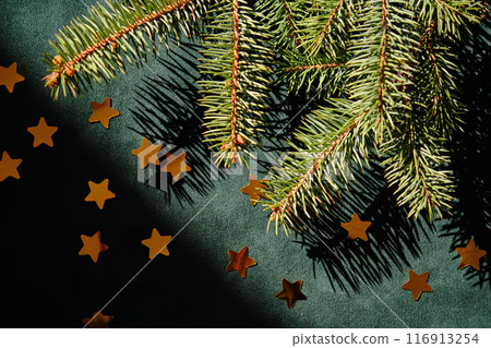 Abstract green velvet Christmas background with Christmas tree branches and gold stars. Abstract green velvet Christmas background with Christmas tree branches and gold stars. 116913254