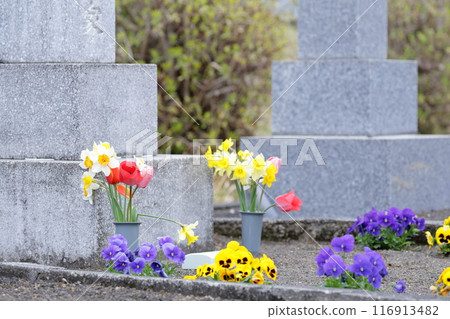 Tombstone on the grave Buddha flower Tombstone on the grave Buddha flower 116913482