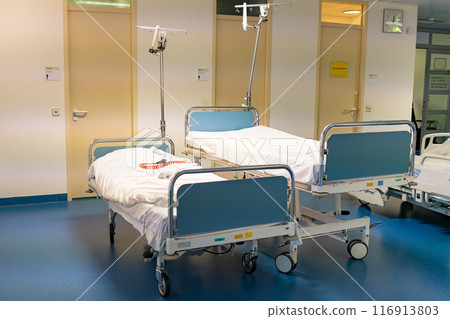 The interior of the corridor in a modern clinic. 116913803
