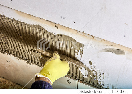 Construction worker tiler applies adhesive cement mortar to wall using notched trowel. Construction worker tiler applies adhesive cement mortar to wall using notched trowel. 116913833