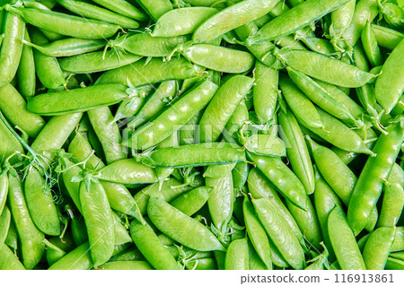 Garden sweet pea or English pea, round peas inside need to removed, or shelled, before eating. Garden sweet pea or English pea, round peas inside need to removed, or shelled, before eating. 116913861