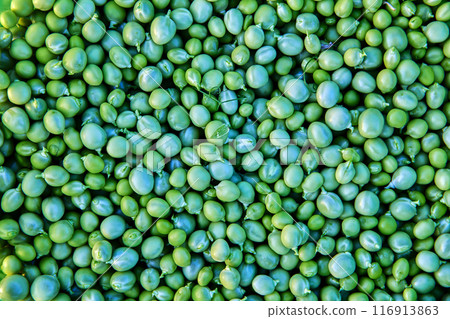Fruits of sweet green garden peas after shelling, texture for background. Fruits of sweet green garden peas after shelling, texture for background. 116913863