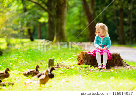 Kids explore nature. Children play in sunny park. Kids explore nature. Children play in sunny park. 116914037
