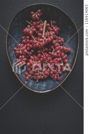 Shtoshi berry, Shepherd's pie, a hybrid of sea buckthorn and barberry, top view, no people, Shtoshi berry, Shepherd's pie, a hybrid of sea buckthorn and barberry, top view, no people, 116914065
