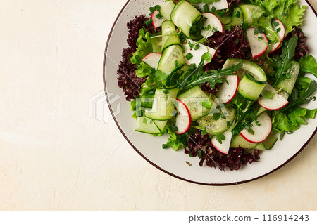 Vegetable salad, radishes and cucumbers, radish micro-greens, lettuce leaves, green onions, homemade, no people, 116914243