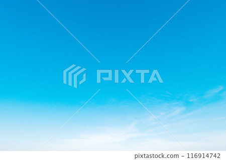 [Material] Summer sky [Blue sky] 116914742