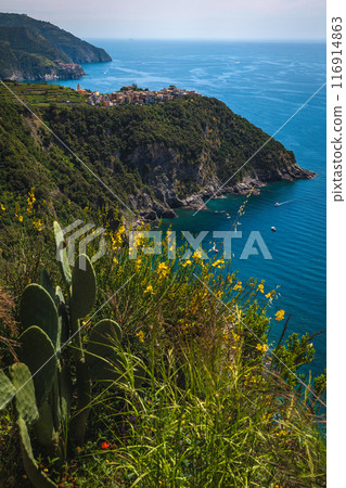 Corniglia view from the hiking trail, Cinque Terre, Italy 116914863