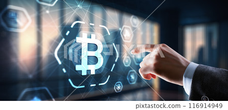 Polygonal bitcoin background technology concept 2024 Polygonal bitcoin background technology concept 2024 116914949
