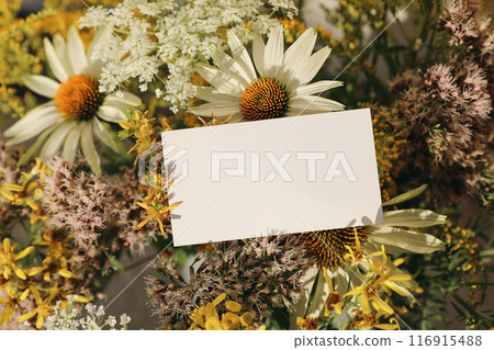 Summer feminine wedding, birthday mockup scene. Closeup of blank paper business card, gift tag label on yellow floral bouquet in sunlight. Solidago, echinacea. Eupatorium flowers. Selective focus, top Summer feminine wedding, birthday mockup scene. Closeup of blank paper business card, gift tag label on yellow floral bouquet in sunlight. Solidago, echinacea. Eupatorium flowers. Selective focus, top 116915488