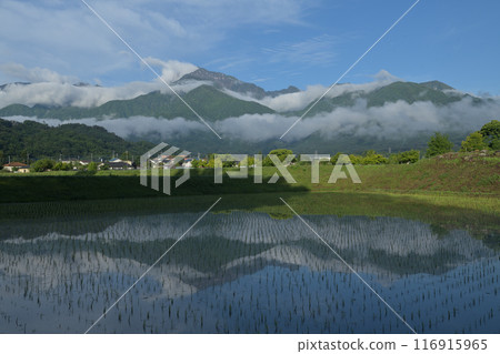 北斗市白州町種植的稻田中倒映著南阿爾卑斯山的凱駒岳 116915965