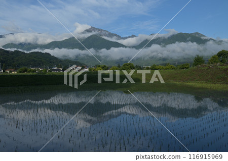 北斗市白州町種植的稻田中倒映著南阿爾卑斯山的凱駒岳 116915969