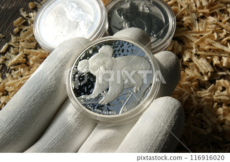 Silver coin in numismatist's hand. Australian 1 Dollar koala. Silver coin in numismatist's hand. Australian 1 Dollar koala. 116916020