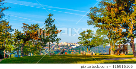 A rustic wooden lookout structure stands at Branik Rocks Natural Park, framed by lush trees under a clear blue sky, offering a scenic view of the surrounding landscape. Prague, Czechia 116916106