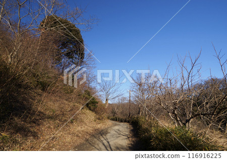 橫濱市的原始冬季風景 116916225
