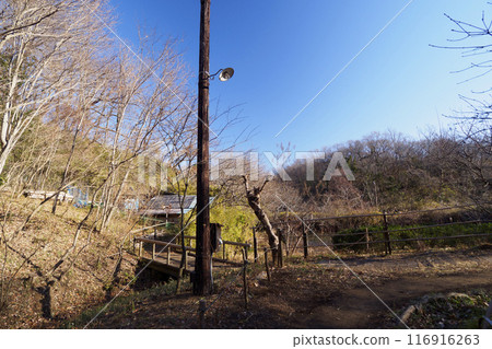 橫濱市的原始冬季風景 橫濱市的原始冬季風景 116916263