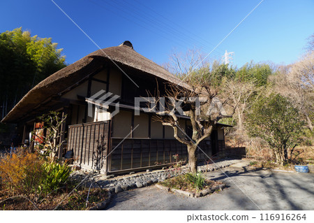 橫濱市的原始冬季風景 橫濱市的原始冬季風景 116916264