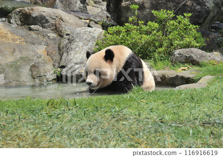 長濱沐浴放鬆 116916619