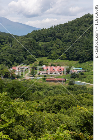 夏季神津牧場 群馬縣 116916695