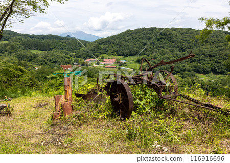 夏季神津牧場 群馬縣 116916696