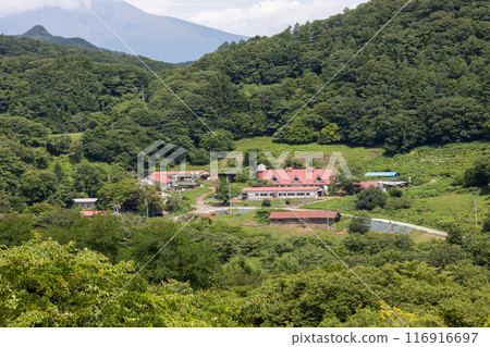 夏季神津牧場 群馬縣 夏季神津牧場 群馬縣 116916697