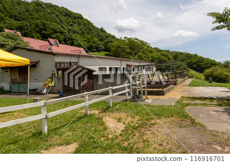 Kozu Ranch in Summer, Gunma Prefecture 116916701