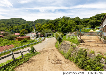 Kozu Ranch in Summer, Gunma Prefecture 116916702