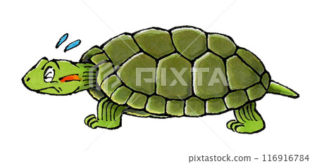 Troubled Green Turtle 116916784