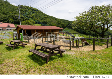 夏季神津牧場 群馬縣 夏季神津牧場 群馬縣 116916787