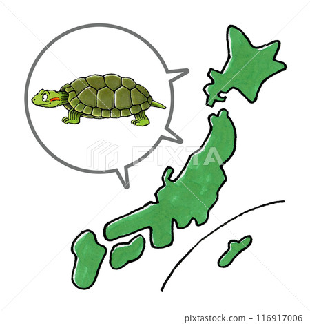 Green slider turtles and the Japanese archipelago Green slider turtles and the Japanese archipelago 116917006