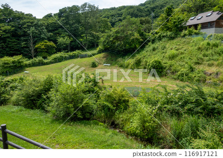 Kozu Ranch in Summer, Gunma Prefecture 116917121
