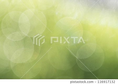 Fresh green sparkling image Round blur background material Fresh green sparkling image Round blur background material 116917132