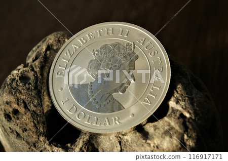 1 Dollar Silver Coin. Pure silver Investment coin. 1 Dollar Silver Coin. Pure silver Investment coin. 116917171