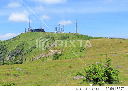 夏天的宇久志原高原 116917271