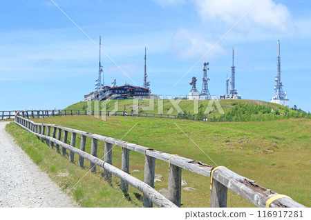 Utsukushigahara Plateau in summer Utsukushigahara Plateau in summer 116917281