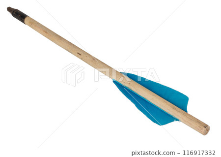 Wooden crossbow bolt 116917332