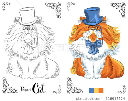 Coloring Book page Persian Cat with Top Hat Coloring Book page Persian Cat with Top Hat 116917524