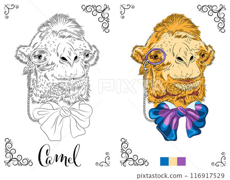 Coloring Book page Camel with Bow and Monocle 116917529