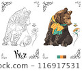 Coloring Book page Bear with Bow 116917531