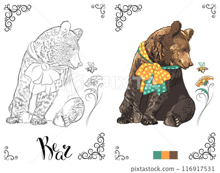 Coloring Book page Bear with Bow 116917531