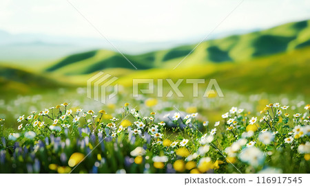 A vibrant meadow filled with vibrant wildflowers, set against backdrop of rolling green hills and distant mountains under clear blue sky. Natural background, copy space, banner 116917545