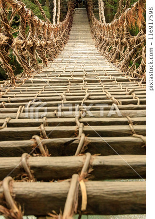 Tokushima Prefecture's Kazurabashi Bridge requires courage to cross 116917598